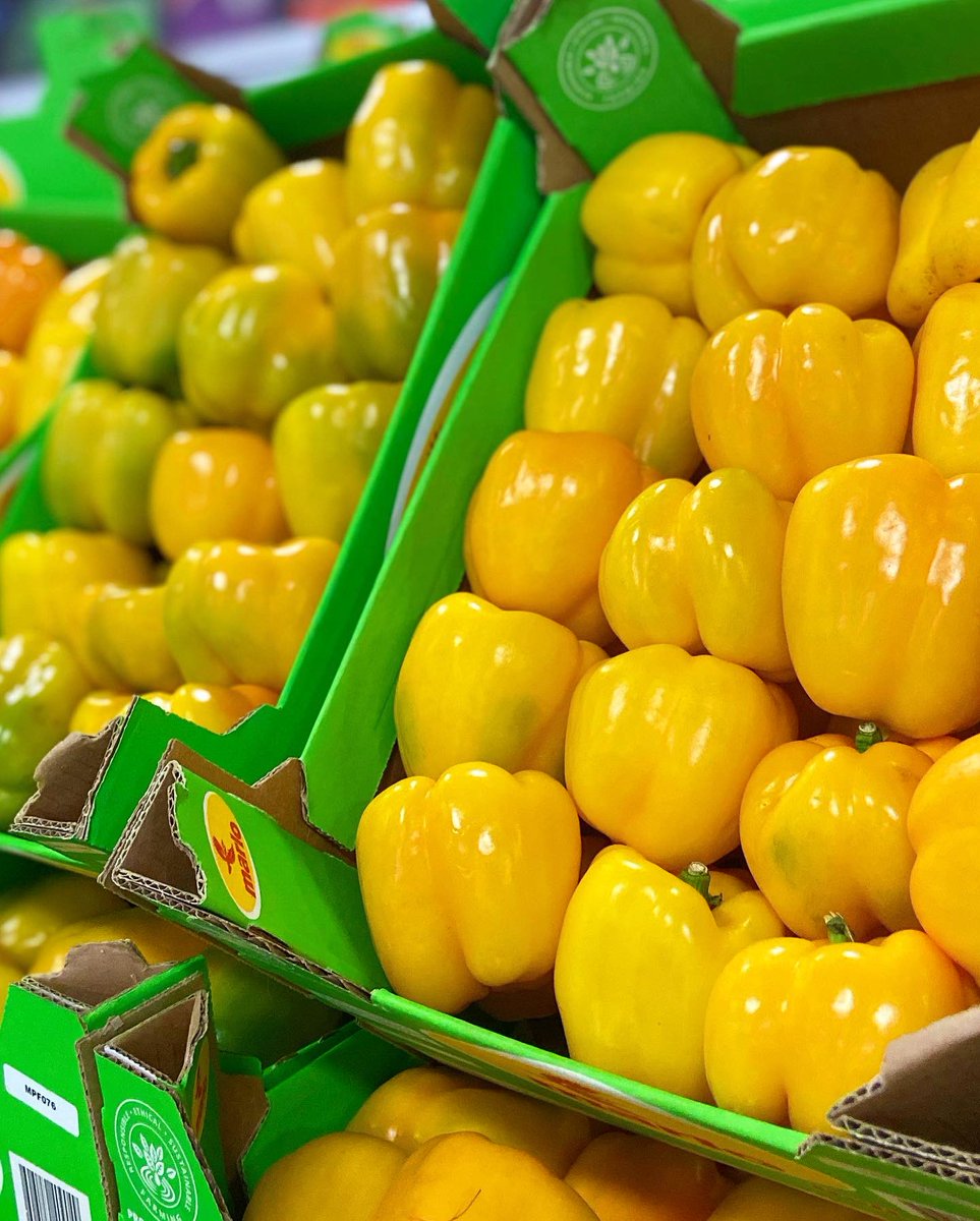 Today’s spotlight veg: Bell Peppers from the Joburg Market 🫑 

Thanks to Marlo Farms 🙌

#RSAGroup #RSAMarketAgents #Veggies #Freshproduce #Joburg