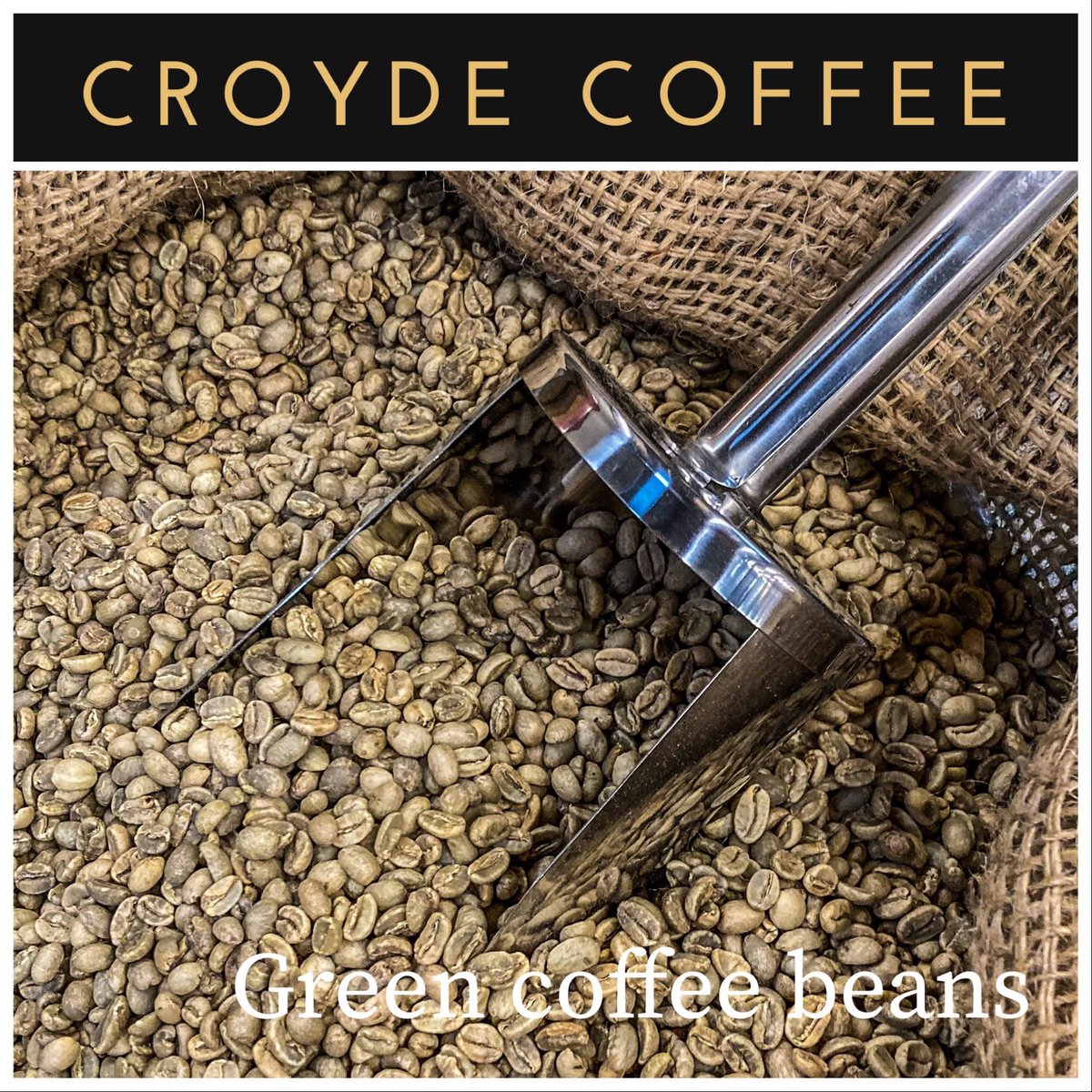 The Sacks of green coffee beans have arrived!  We now need to fire up the roaster!! 🔥 ☕️ <a href="/CroydeCoffee/">Croyde Coffee</a> <a href="/thisdevon/">thisdevon</a> <a href="/lovenorthdevon/">North Devon</a> <a href="/CroydeBay/">Croyde Bay</a> @contiespressouk <a href="/VisitDevon/">Visit Devon</a>
