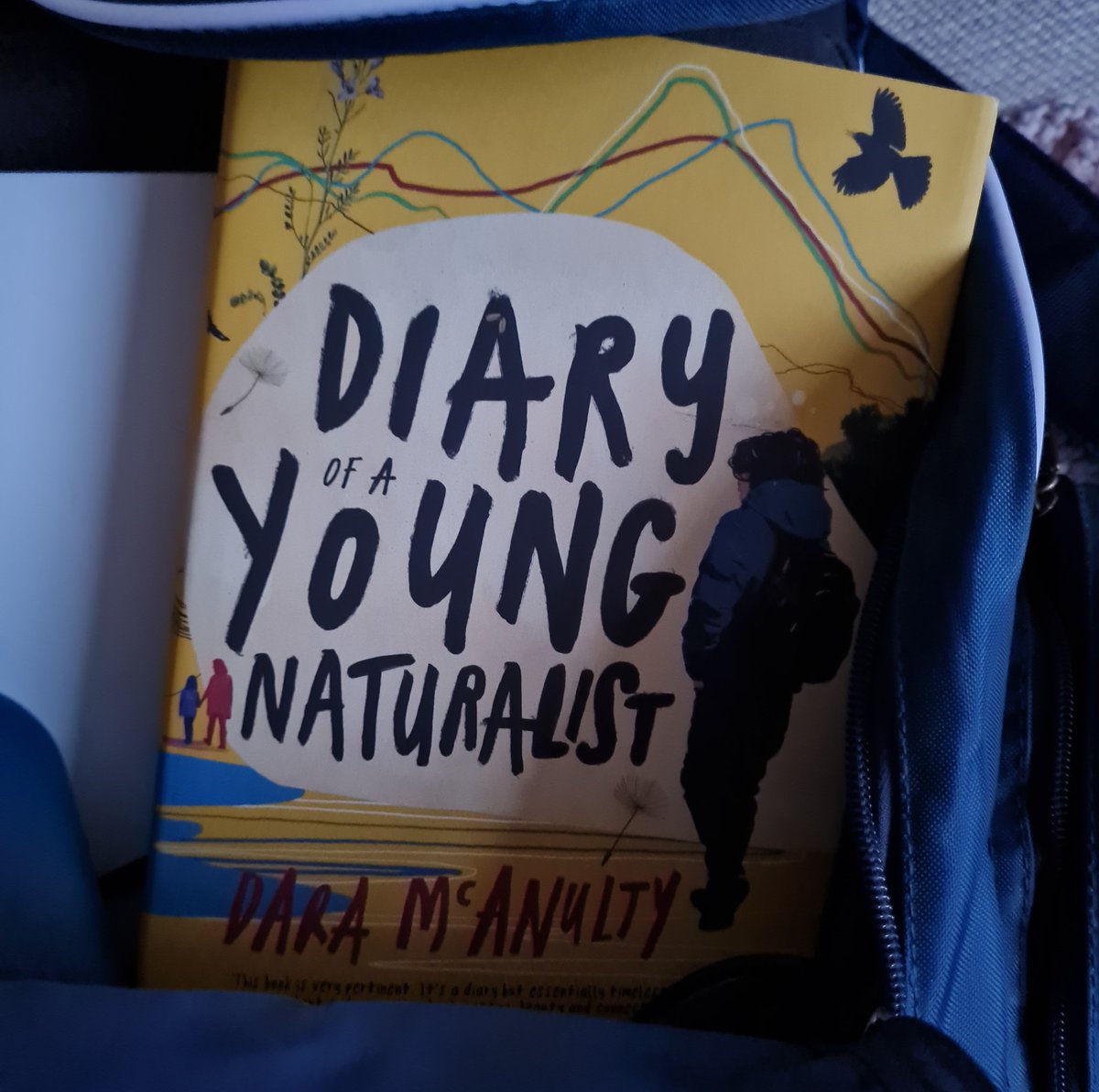 thehikingSENCo's tweet photo. It is #NeurodiversityCelebrationWeek and I'm getting the train in today. No better time to start reading this book by @NaturalistDara. Let's celebrate diversity in all of its forms ❤ #teacher5oclockclub #diversity #unique #support #wearealldifferent #thereisnonormal https://t.co/XdHc0PBoWN