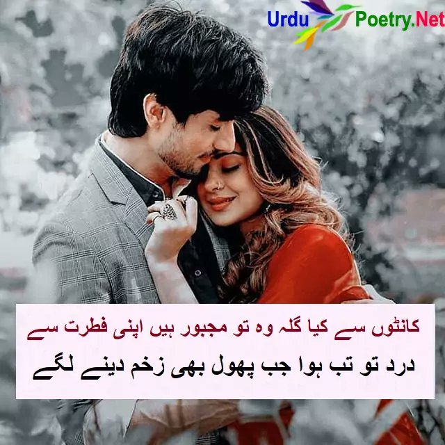 Best Love Poetry in Urdu | Romantic Poetry in Urdu, love poetry urdu, sad poetry urdu

<a href="/BestPoetryurdu/">Urdu Poetry</a> 
<a href="/geonews_english/">Geo English</a> 
<a href="/geonews_urdu/">Geo News Urdu</a> 
<a href="/PoetrYLine/">UrduPoetry</a> 
<a href="/IslamicThinking/">﷽‎</a> 
@dailypakistangl 
<a href="/shayari/">Shayari | India</a> 
<a href="/WhatsAppStatus/">WhatsApp Status</a>