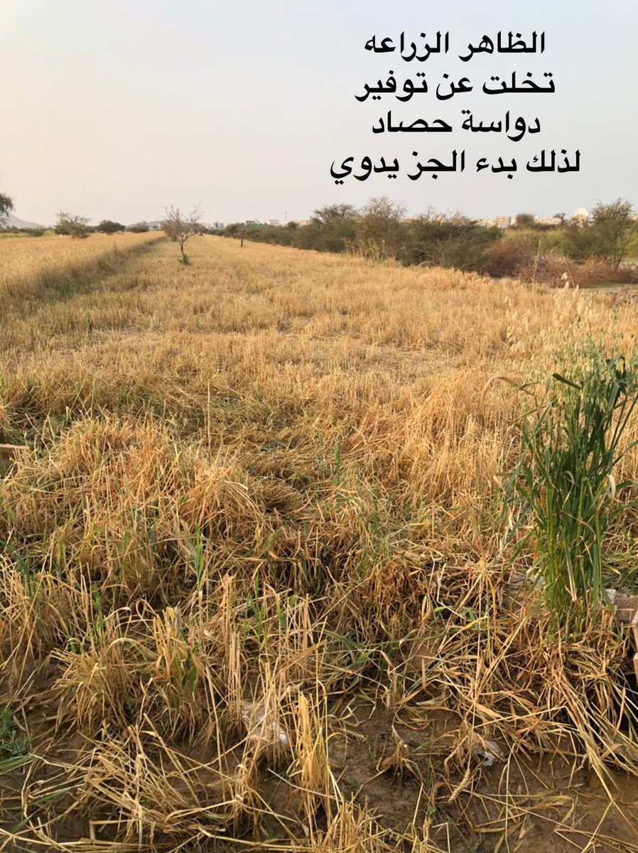 Omar (@omar61901106) on Twitter photo 