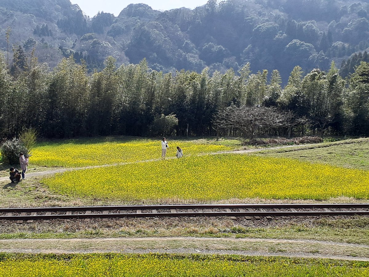 養老渓谷観光協会 3月16日 火 石神の菜の花畑です 養老渓谷駅徒歩約15分 手前はだいぶ成長してきました ある程度 見応えはある感じです ベストはまだ先ですが 楽しめそうです 1 2週間後はもっと良い状況になってると思います 養老渓谷 石神 養老渓谷観光協会 3月16日 火 石神の菜の花畑です 養老渓谷駅徒歩約15分 手前はだいぶ成長してきました ある程度 見応えはある感じです ベストはまだ先ですが 楽しめそうです 1 2週間後はもっと良い状況になってると思います 養老渓谷 石神