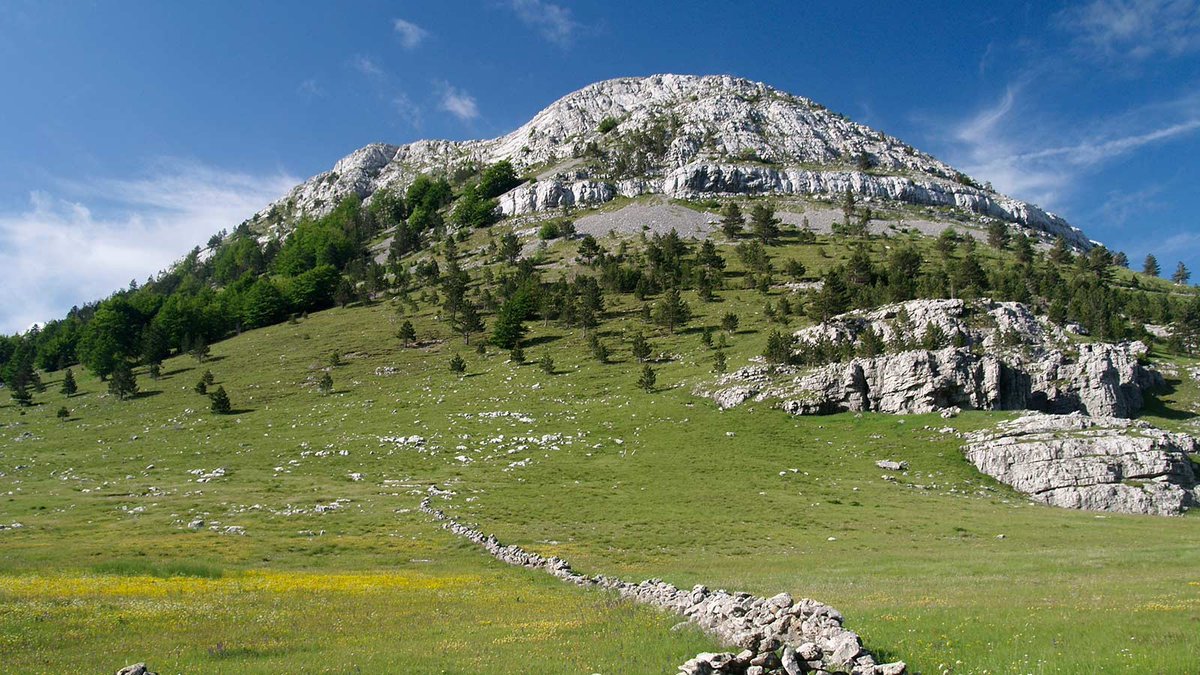 Gora. Гора Динара Хорватия. Петрова гора Хорватия. Гора фаше. Гора Уканмуртомяки.