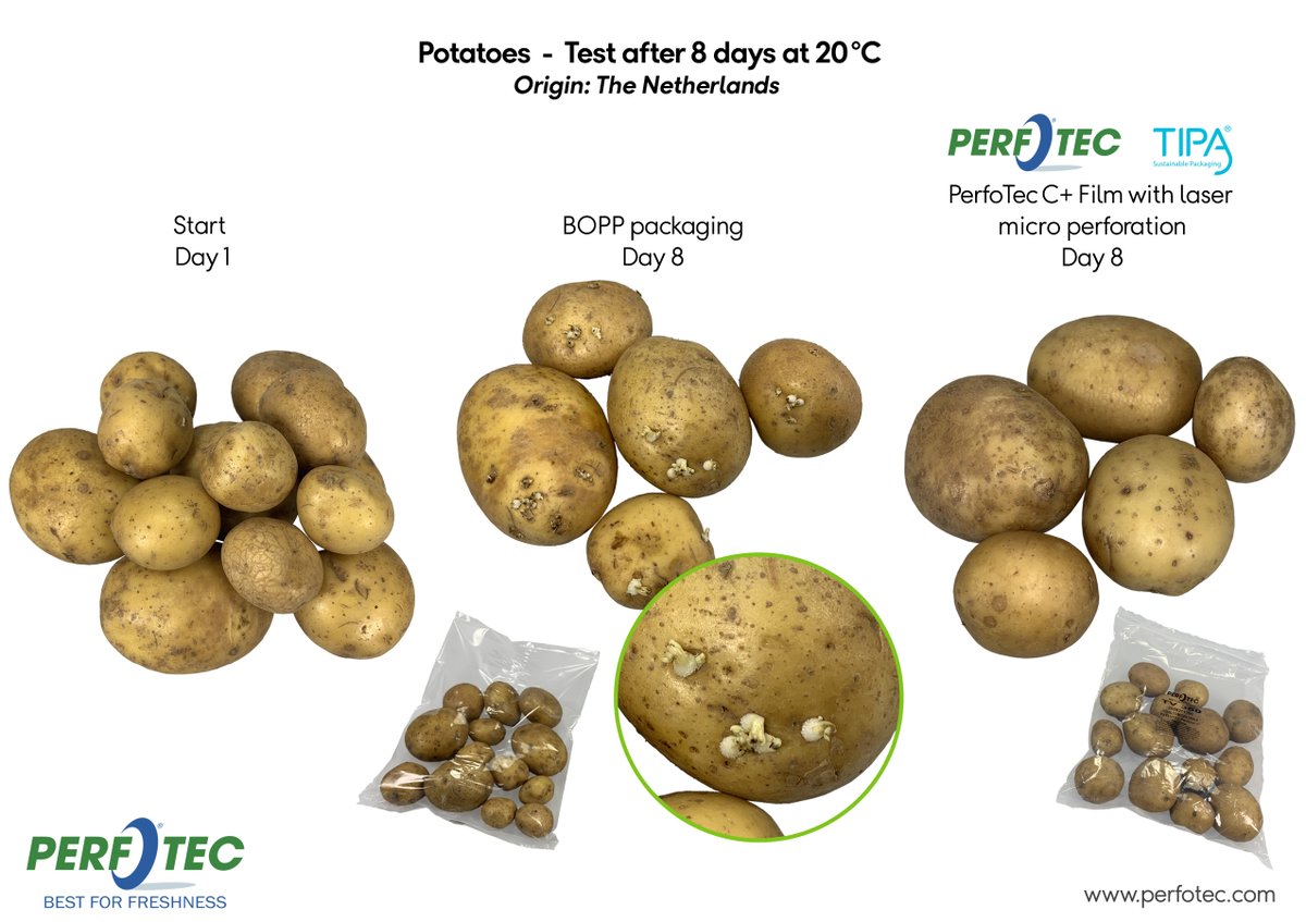 For this test we compared standard #packaging to PerfoTec technology, combined with <a href="/TIPACorp/">TIPA-Corp</a> film, to show you what happens after only 8 days. The #potatoes in the packaging combining both technologies even achieved 12 days without #greening, and with negligible #sprouting!