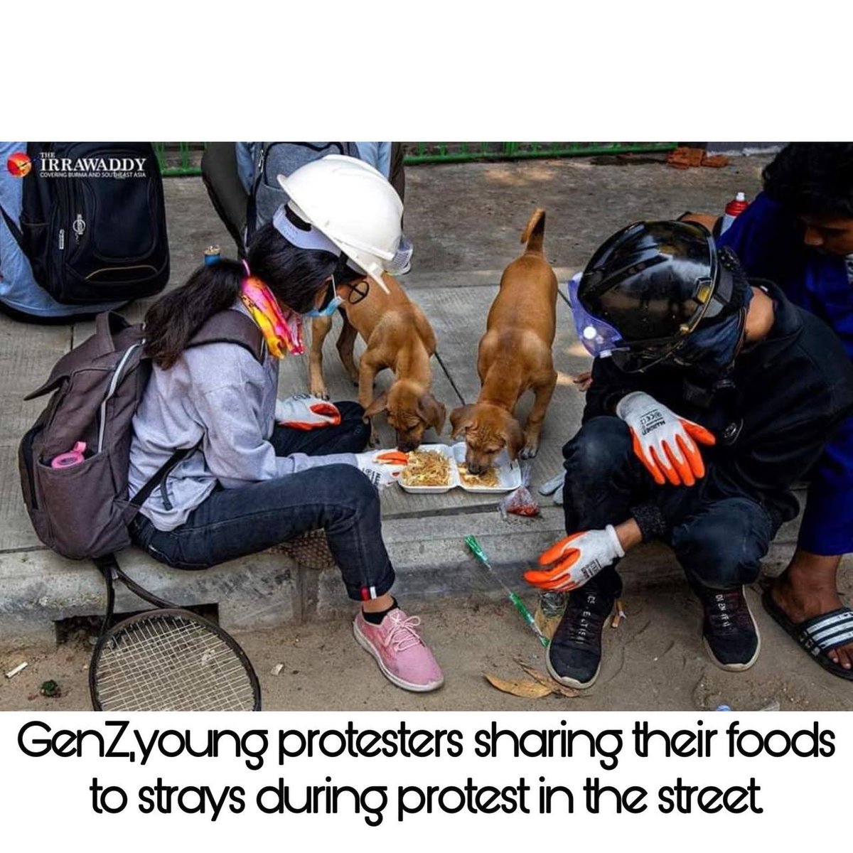 Christina1Feb21's tweet photo. Hundreds of people have been slaughtered by military monsters as if their lives have no value. But civillians remain brave, hearts full of empathy. Pics show the love between 4 paw friends and hoomans, which the evils will never understand.
#Mar16Coup 
#WhatsHappeningInMyanmar https://t.co/SllH7nT81u