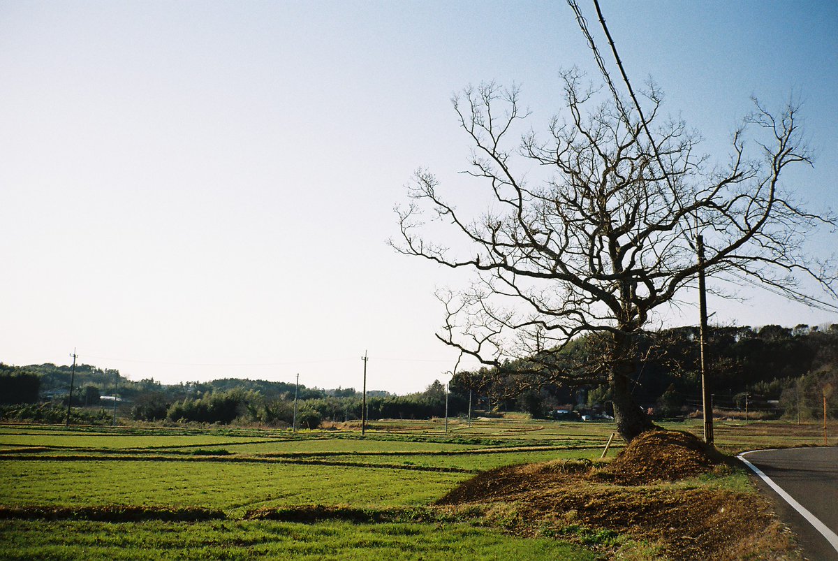 矢那 Twitter Search