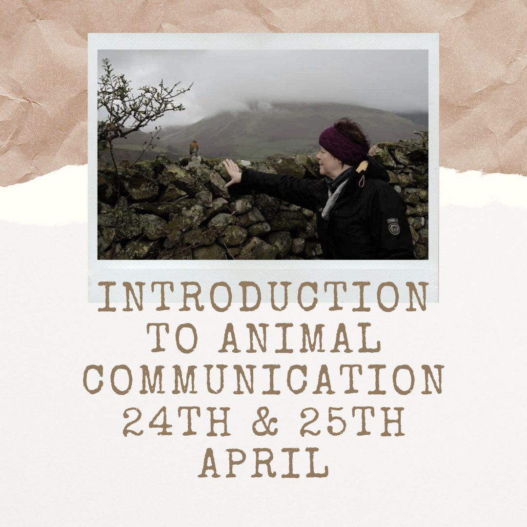 AnimalComms's tweet image. Still a few places left. #animalcommunication #pets #petsofinstagram #animal #animalsareirreplaceable