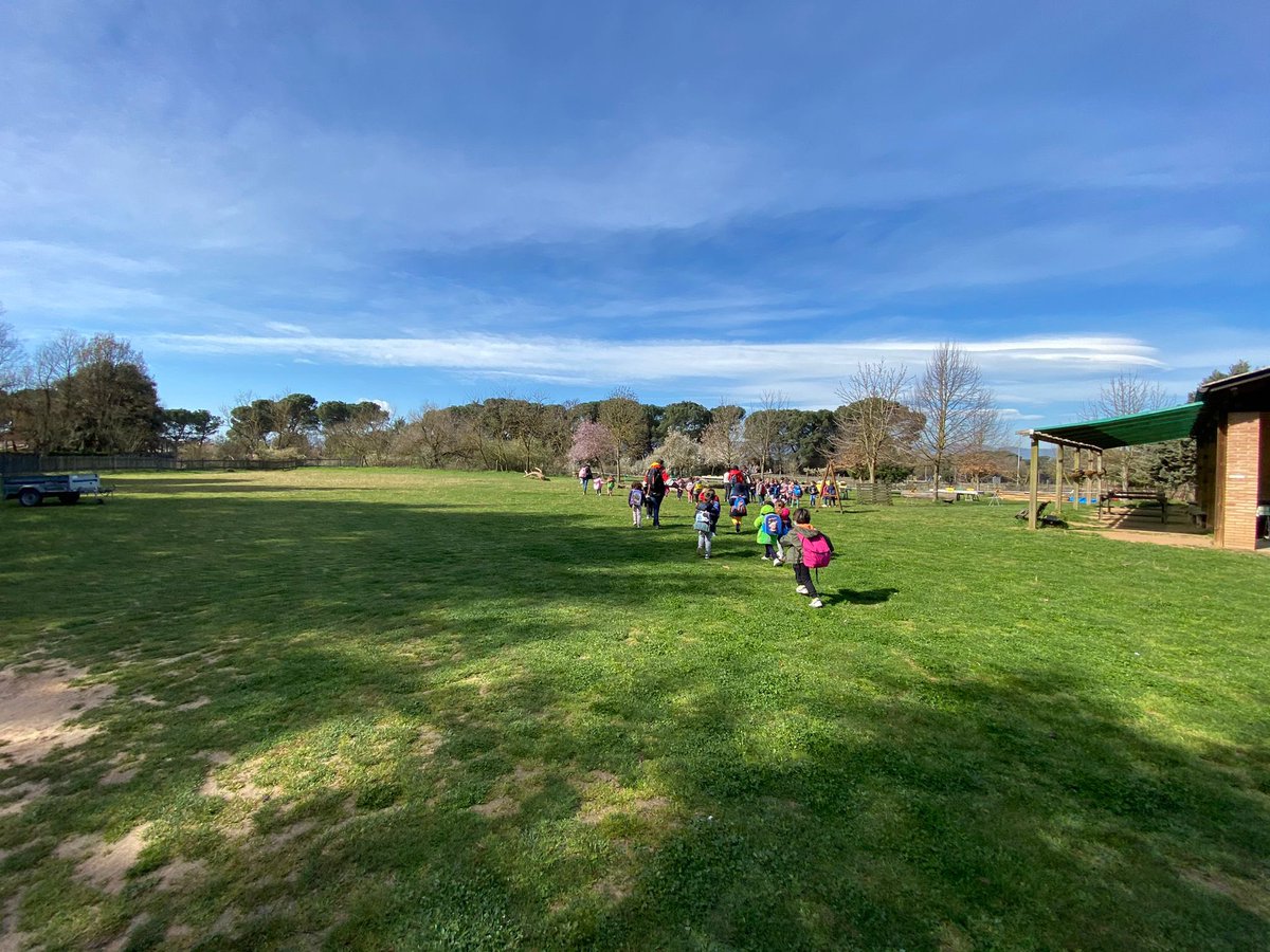 Anna Diaz tweet media