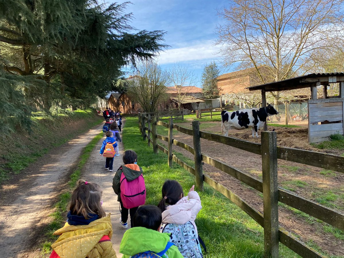 Anna Diaz tweet media