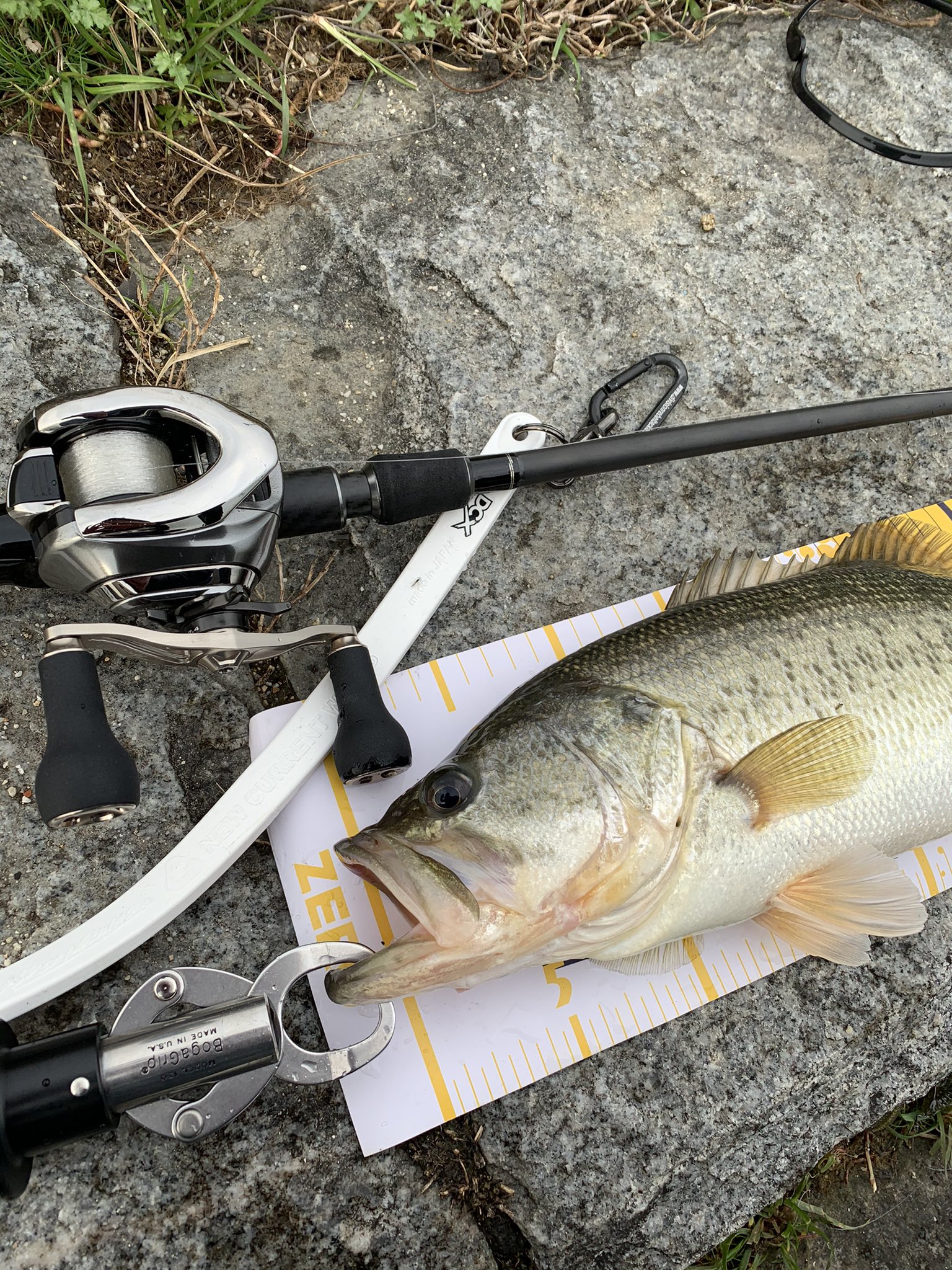 ENTELKHEIA レボルブカスタム REVOLVECUSTOM 78