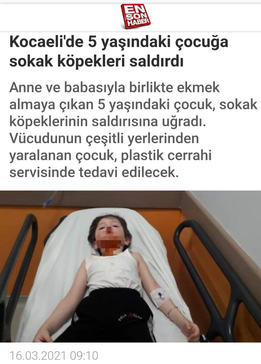 SagdanBaskaya's tweet photo. 🇹🇷 @RTErdogan
@bekirpakdemirli @MustafaYel59
❗Hergün yenileri yaşanıyor. 
Millet terör ortamında yaşıyor. 
İlgili Bilim Kurulumuz (!), bu olayları da raporlasın bari.
#BaşıboşKöpekOlmaz
#BaşıboşKediOlmaz
🐾 Sokakta kedi ve köpek beslenmez. Sokaklara kulübe, suluk vs koyulmaz. https://t.co/BYCDf095t3