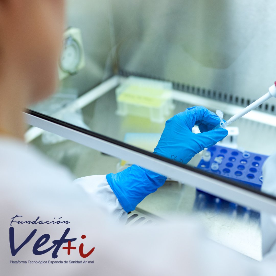 Vetmasi's tweet photo. Aprende más sobre la Farmacovigilancia, cuáles son las obligaciones del veterinarios a este respecto y cómo notificar supuestos acontecimientos adversos  en https://t.co/Ptqd8xlqMH https://t.co/2lQ5jc2mE2