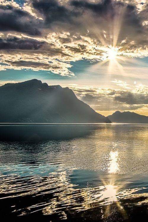 Sabine2577's tweet image. "Lorsque l’esprit est libre, tout est libre autour de soi."

Koân zen