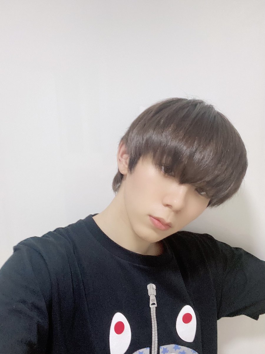 shotaro pics tweet media