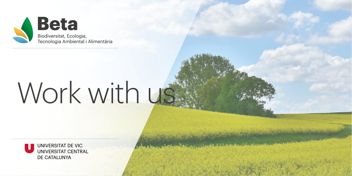 BETA_TechCentre's tweet photo. ๐ขโผ๏ธ #OpenPosition for a Post-Doctoral researcher expert in Environmental technologies.
โถ๏ธHe/she will be part of a team of researchers who will work to develop of a new treatment scheme to recover valuable by-products from the meat industry.
๐๐ผ๐๐ผ๐๐ผ
https://t.co/mkoNW8ogNU https://t.co/LquHDDOWJk