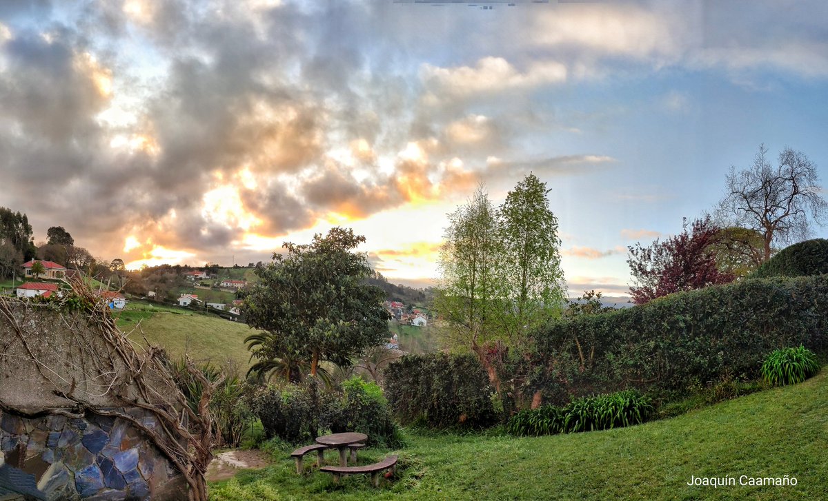 Joaquin Caamaño tweet media