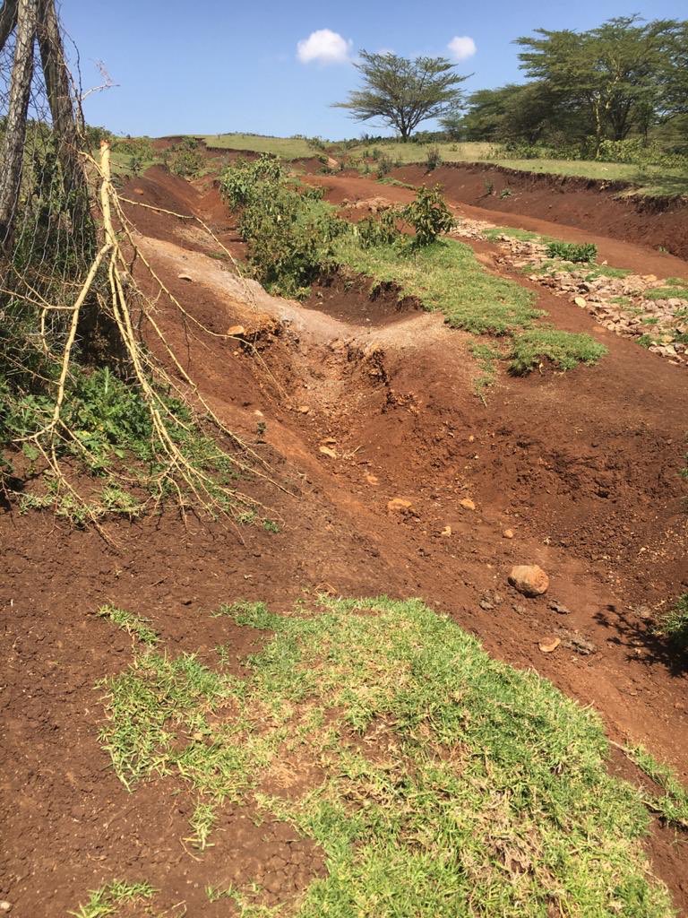 mbugua_bedan's tweet photo. Ngong Hills is wounded and is agonizing in pain. These hills had 152 water streams but today only 12 streams are running. We must take action promptly to restore all the 152 streams. Let us meet in Ngong Hills on 17/03/21 at 9.00am to commence restoration work. https://t.co/01WRIwx7PP