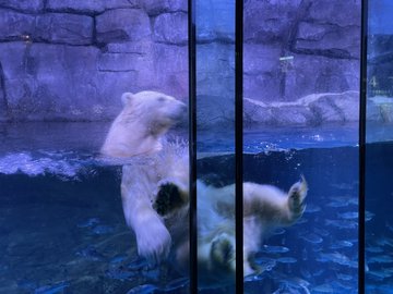 八景島シーパラダイス 水族館の回り方と楽しみ方 各エリアの見どころも紹介 メルちゃんブログ
