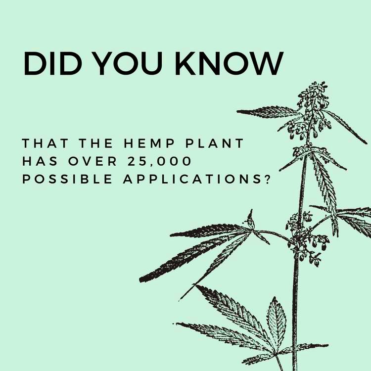 CannabeCBD's tweet photo. #cbd #factoftheday https://t.co/ewWL6FOWN1