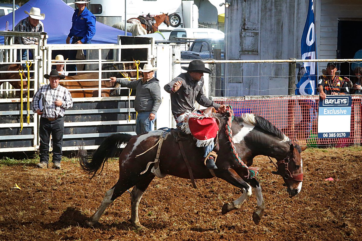 LiveStream **# Waimarino Rodeo 2021 @Free / Twitter