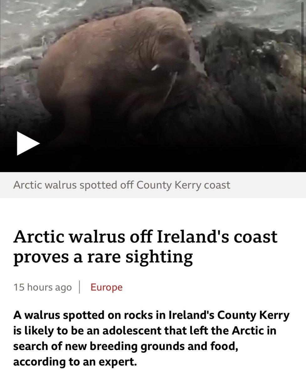 Greg James tweet media