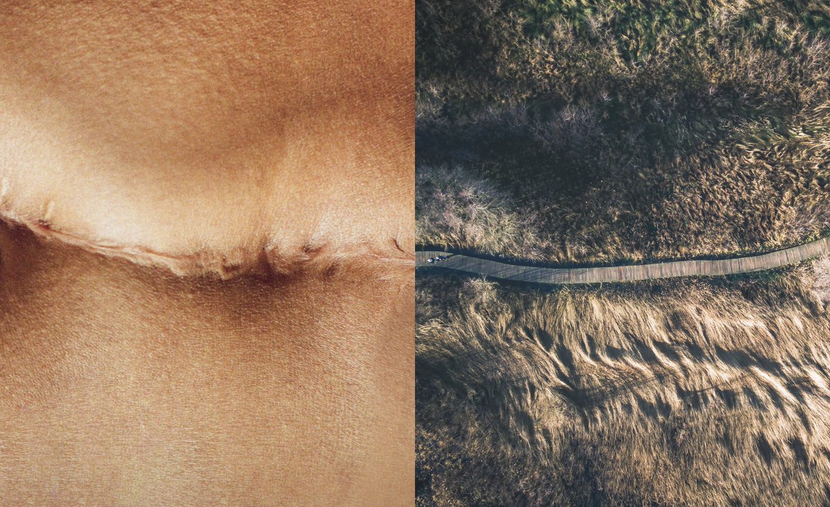 Resilience (@resiliencecare) on Twitter photo On February 2021, Resilience is born. 
Our mission is to reinvent Cancer care. 🚀
We aim to create a safe place, where patients and oncologists find the right information 1/5 On February 2021, Resilience is born. 
Our mission is to reinvent Cancer care. 🚀
We aim to create a safe place, where patients and oncologists find the right information 1/5