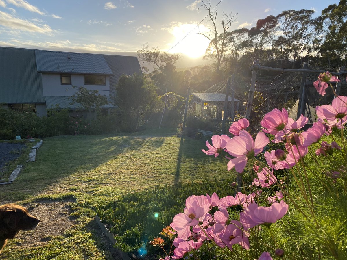 When you live with that black dog hovering, sometimes managing to make even the sunshine and the flowers look bleak...Oh my goodness it’s a relief getting to a day where the bleakness lifts.