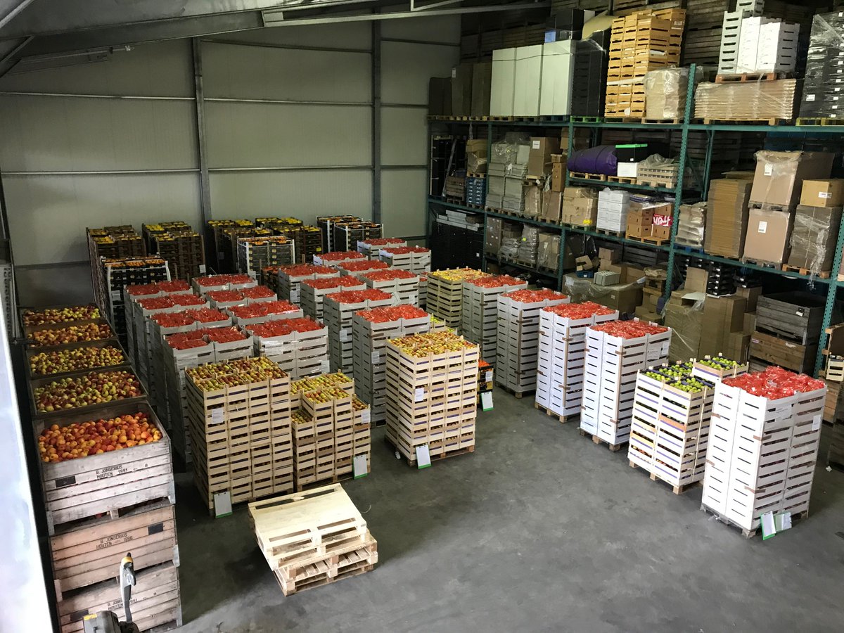 In navolging van mijn eerdere blog “Hoe ziet jouw schoolfruit-jaar eruit?” kreeg ik een aantal vragen over welke mogelijkheden er zijn voor basisscholen. Dat leg ik uit in mijn nieuwe blog: bit.ly/3cHnky6 #schoolfruit #basisschool