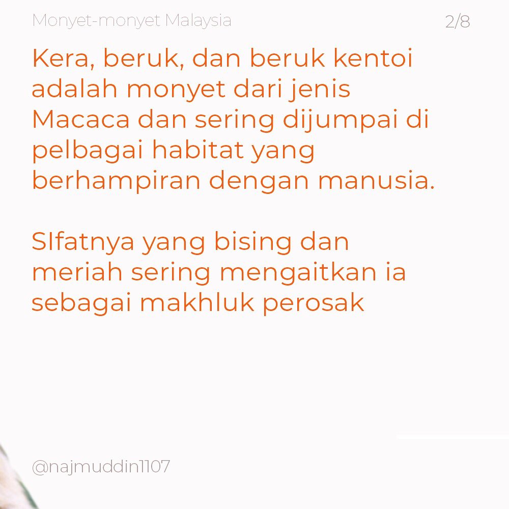 bdcvuthm's tweet photo. Fakta mengenai spesis Macaca yang terdapat di Malaysia. Apa lagi ciri Macaca yang anda tahu? Tulis di bahagian komen 😄

Bagi warga Johor, jangan lupa isi tinjauan! Terima kasih (https://t.co/kHDsBvZQ8e) 

#primate #primata #monyet #malaysia #primatology https://t.co/yzQJbnJMV8