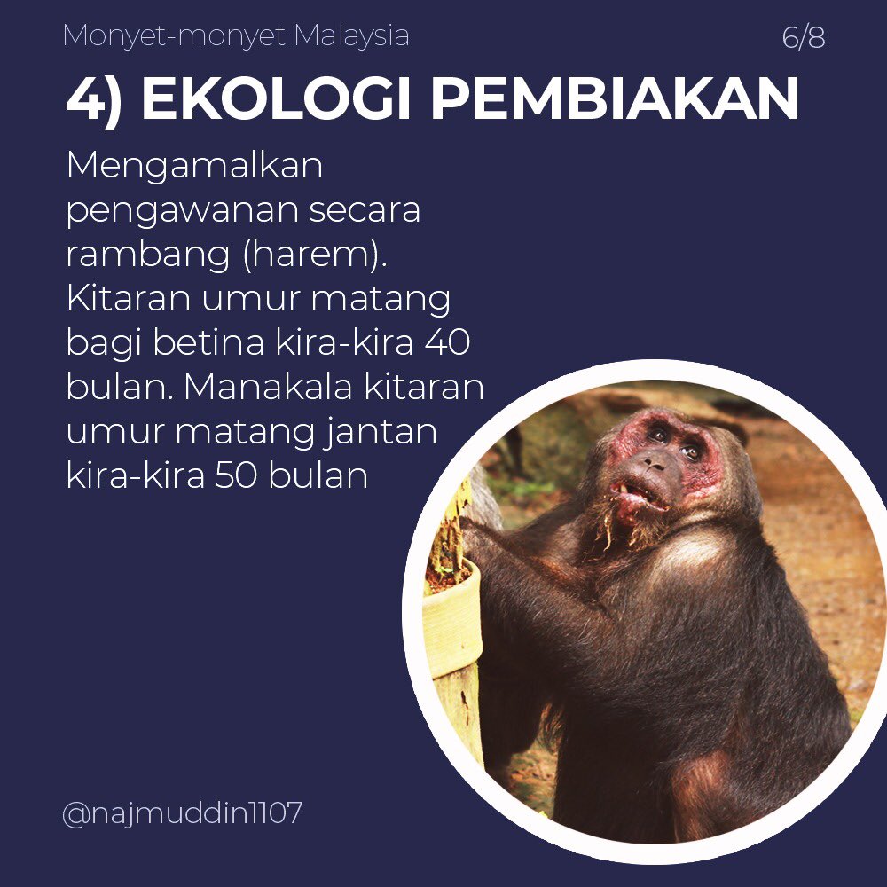 bdcvuthm's tweet photo. https://t.co/C3thsjfK7z