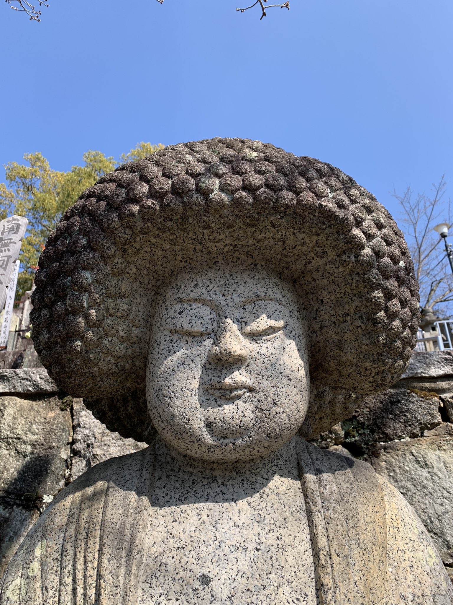 Katsuhiko 神宮丸田町駅から 京都市左京区 くろ谷 金戒光明寺 寺 洛陽三十三所観音霊場 御影堂 大殿 三門 寺社仏閣 五劫思惟阿弥陀仏 アフロ大仏 アフロ 髪型 大仏 石仏 くろ谷さん 古都 京都 青空 Hairstyle Kyoto T Co