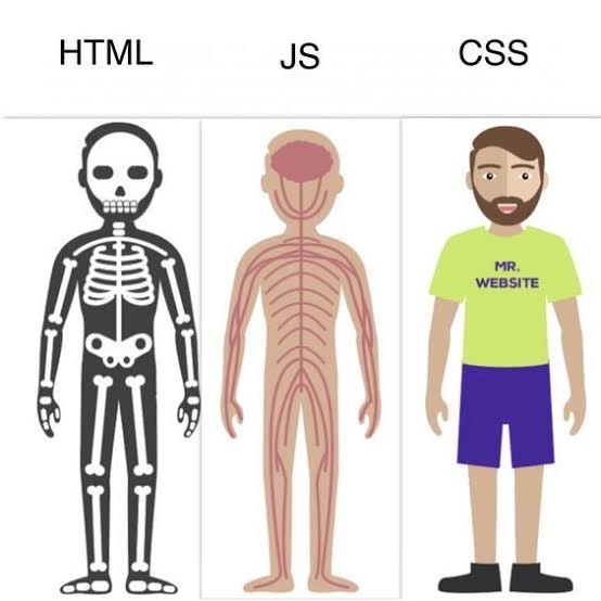 C mo Conectar HTML Con JavaScript Platzi css-padding-a-comprehensive-guide-to-css-padding