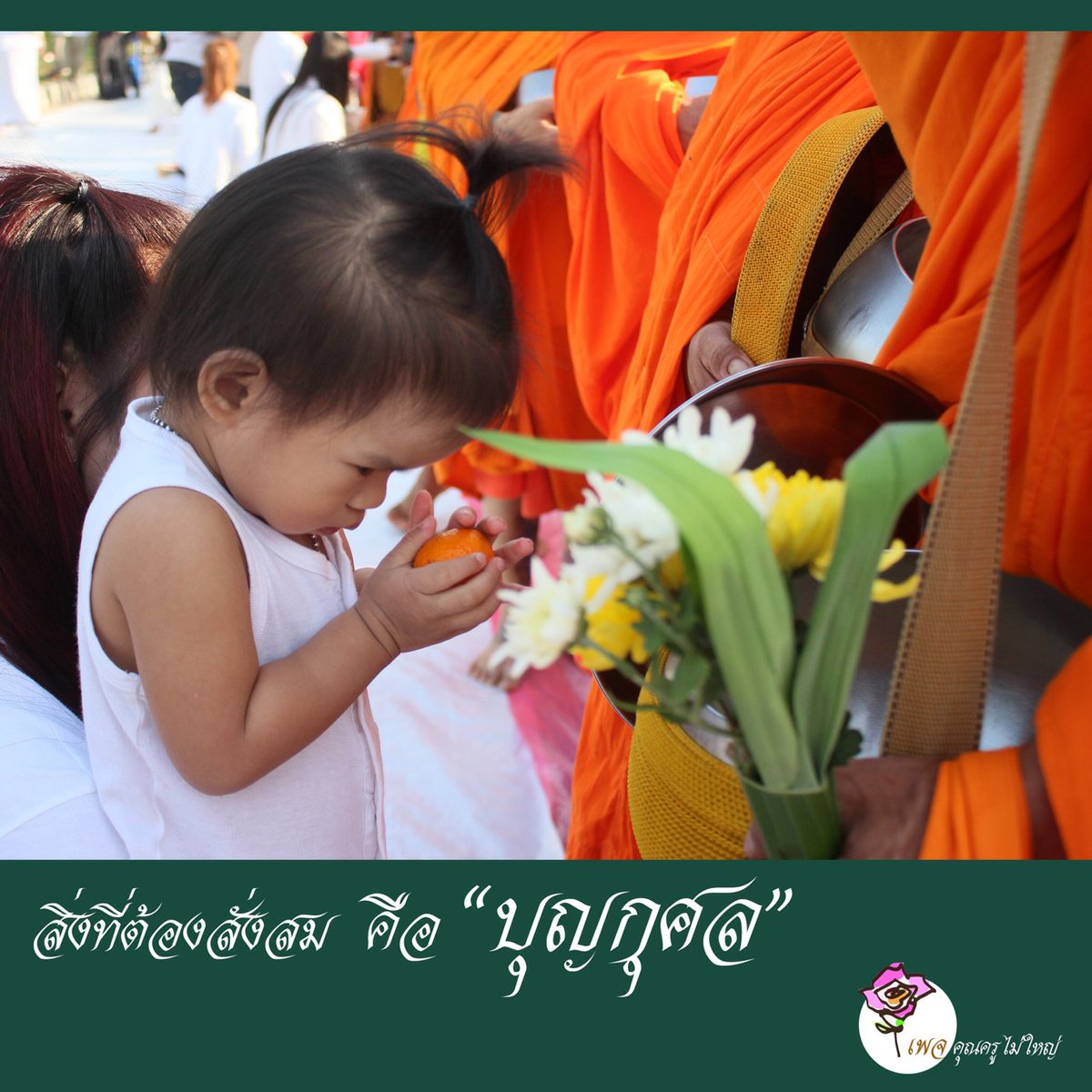 dhamma01 tweet picture