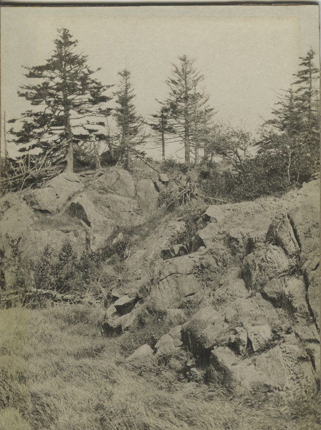 Monhegan Museum tweet media