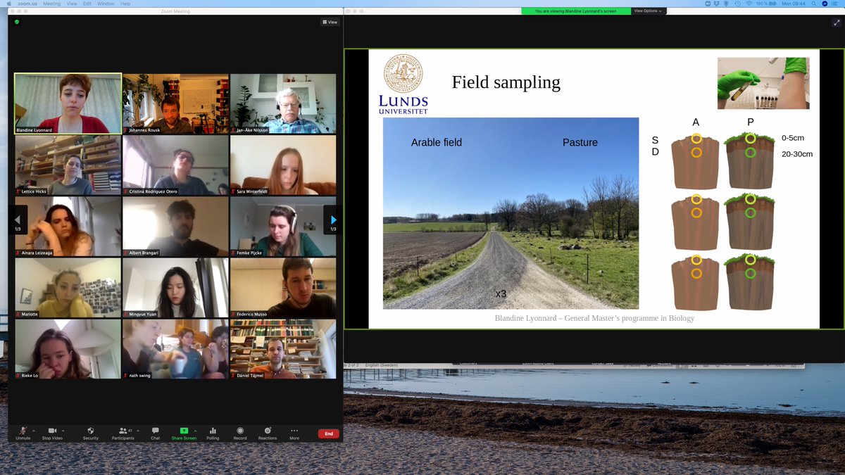 RouskLab's tweet photo. Blandine Lyonnard defends her @Biology_LU MSc #thesis expertly, navigating a fascinating audience through the complications of representing #microbialecology with @AlbertBrangari's #EcoSMMARTS model, and explaining why #landuses and #soil #depth respond differently to #rewetting https://t.co/OKcJ30fCJV
