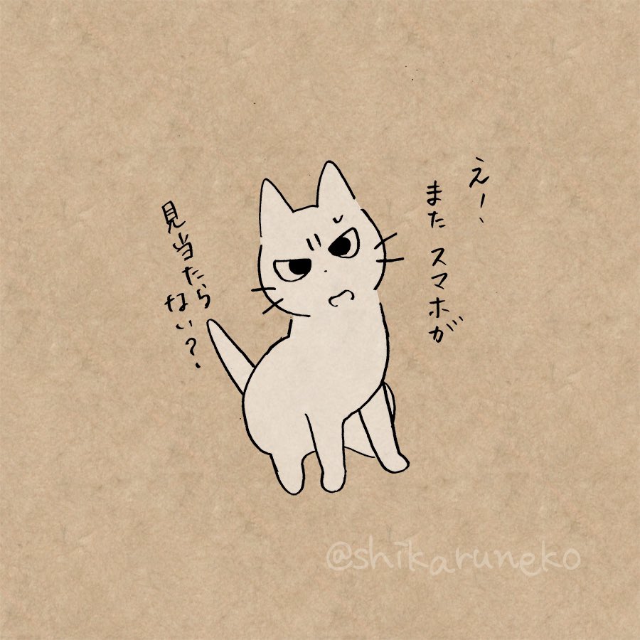 スマホを探してばかりいる人を叱ってくれる猫 