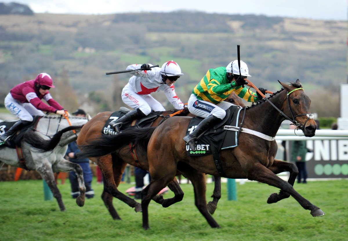 FestivalPicks's tweet image. 🚨 Cheltenham Competition! 🚨

🎟 We’re giving away 2x tickets to the 2022 #CheltenhamFestival. To get involved:

Follow us ✅
Tell us who you think wins the Champion Hurdle ✅

🏇 Correct predictions enter a ballot, announced later this week!

T&amp;amp;Cs 👉 ow.ly/9pbW50DZhN0