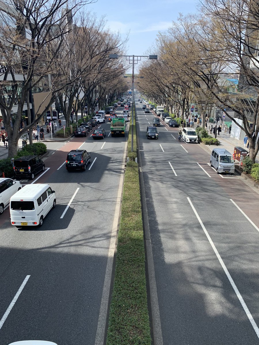 とある撮影のお手伝いに行ってきました！たくさんのキラキラしたもの、綺麗なものをみて心が洗い流された…💫

とっても可愛いものがたくさん撮れていたので完成が楽しみだなあ💕

表参道の道、歩道橋からみたら思ったより真っ直ぐで思わず撮ってしまった
