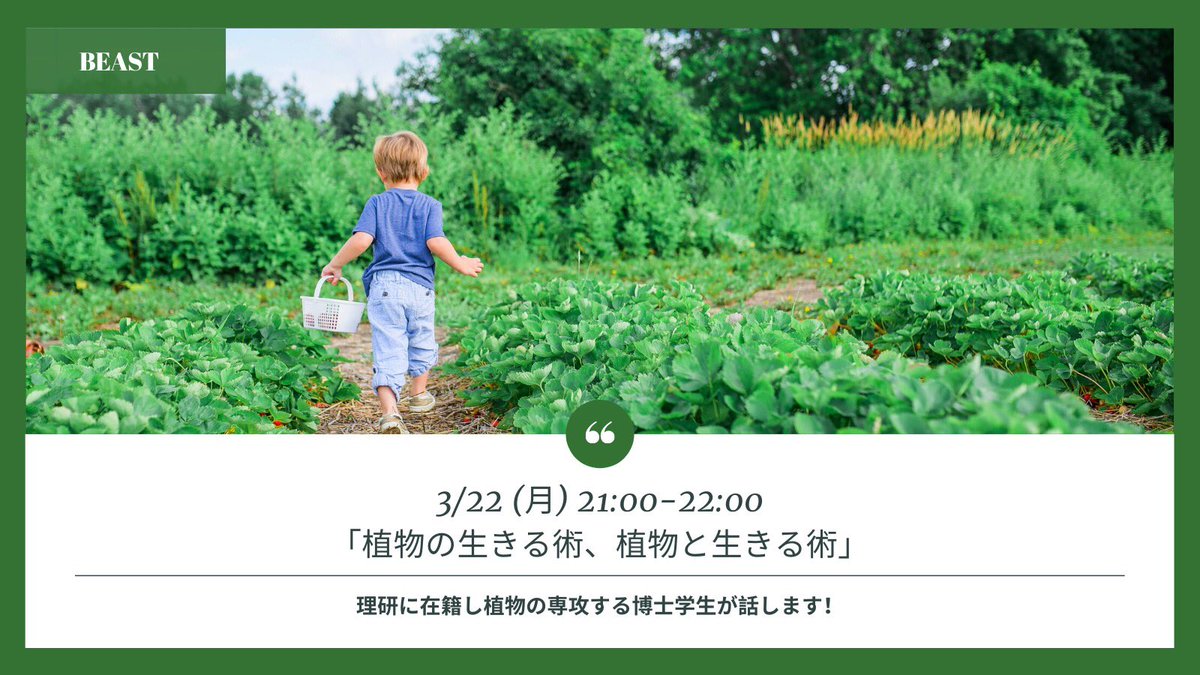 Sci_beast's tweet photo. 💡イベント情報💡
植物ってなんでしょうね…
なんで動かないんでしょうね…
不思議ですね…
第3回STEM BAR
「植物の生きる術、植物と生きる術」
3/22(月)21時〜オンライン
理研に在籍する博士学生が発表します。
#beast_tech
どなたでもご参加いただけます
https://t.co/Rr5hQmolss… https://t.co/orkK6zxtMd