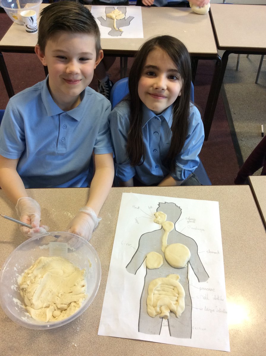 We’ve had a brilliant afternoon creating the digestive system out of salt dough <a href="/BrantonLearners/">Branton St Wilfrid's</a>