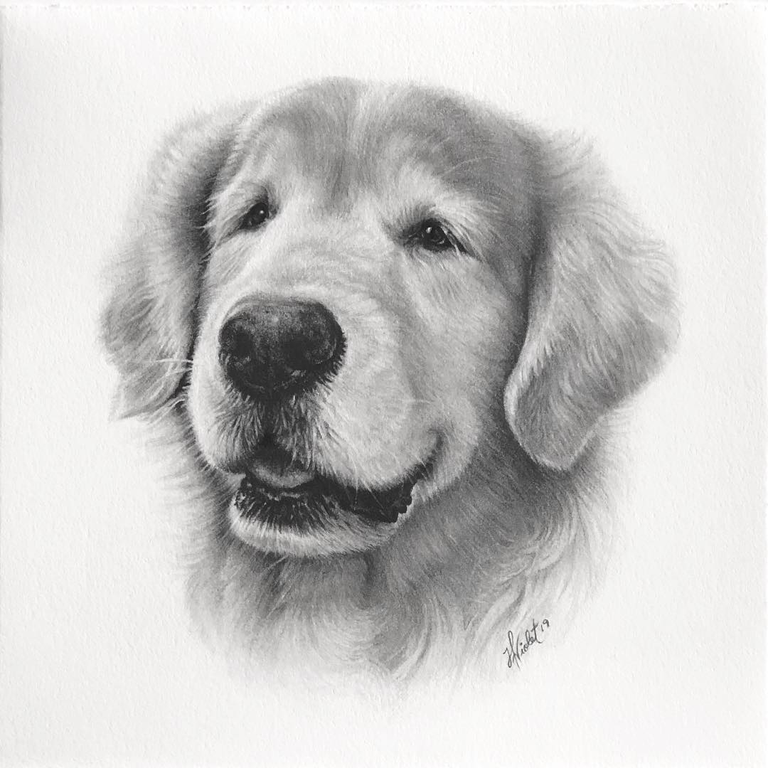 Realistic Animal Drawings... - Realistic Animal Drawings