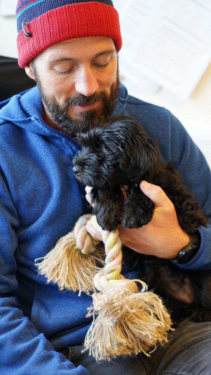 babipur's tweet photo. Jordan and his new puppy are at Babipur Towers today having a go with the new Beco Pets toys! Can you tell what breed she is?
Shop Beco Pets Toys >> https://t.co/WFenEoTGat
#becopets #ecopets #ecoliving #dogs #doglovers #babipur #dogtoys #plasticfree #sustainable #puppy https://t.co/aYfWRLQjWu