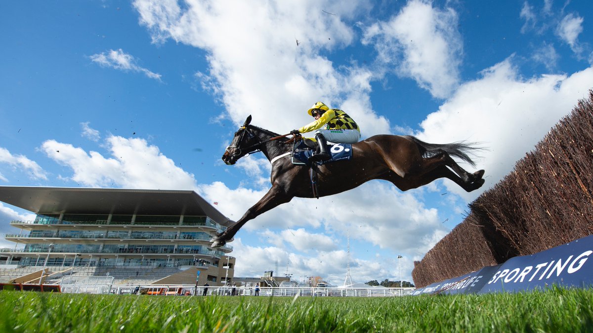 An amazing photo of Shishkin winning the Arkle 📸 

#CheltenhamFestival