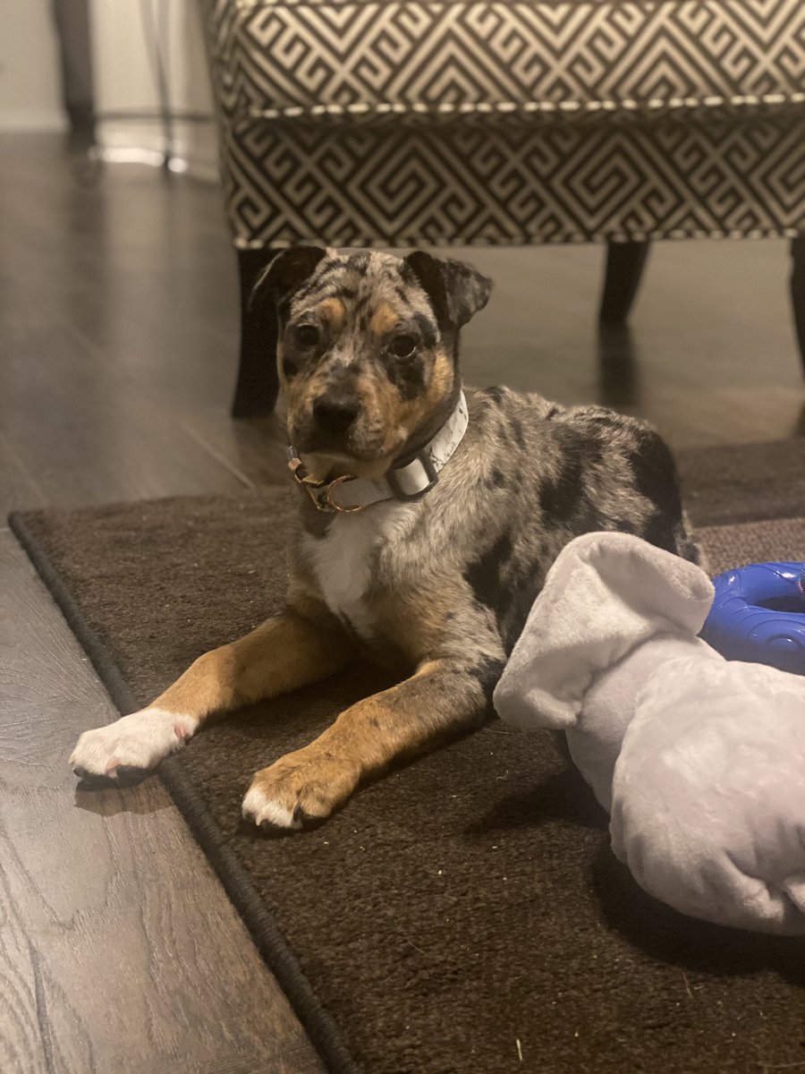 maakeenzyy's tweet photo. My girl🥰🥰🥰 https://t.co/452qokX7ge
