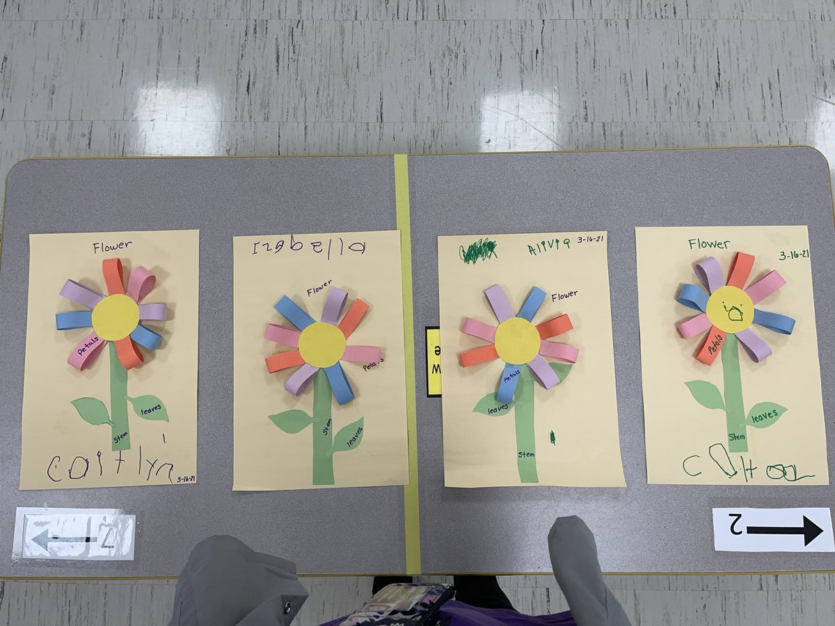 kiser_anna's tweet photo. South Floyd-B Head start while learning about Spring/Flowers this week. Our class made a 3-D flower this week. They did a wonderful job. @SouthFloydElem @SchoolsFloyd @AnnaWShepherd https://t.co/2MP7Q802LJ