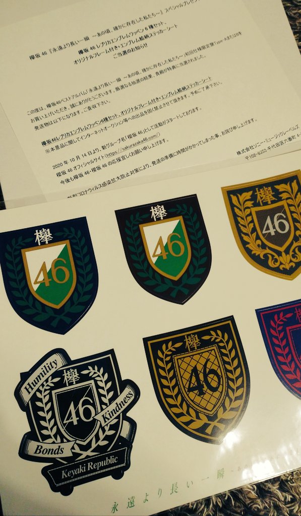 欅坂46 ベストアルバム 永遠より長い一瞬 レプリカエンブレムワッペン-