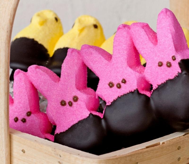 Easter &amp; Passover Chocolate - cute bunny warning! conta.cc/3rLDQ6l