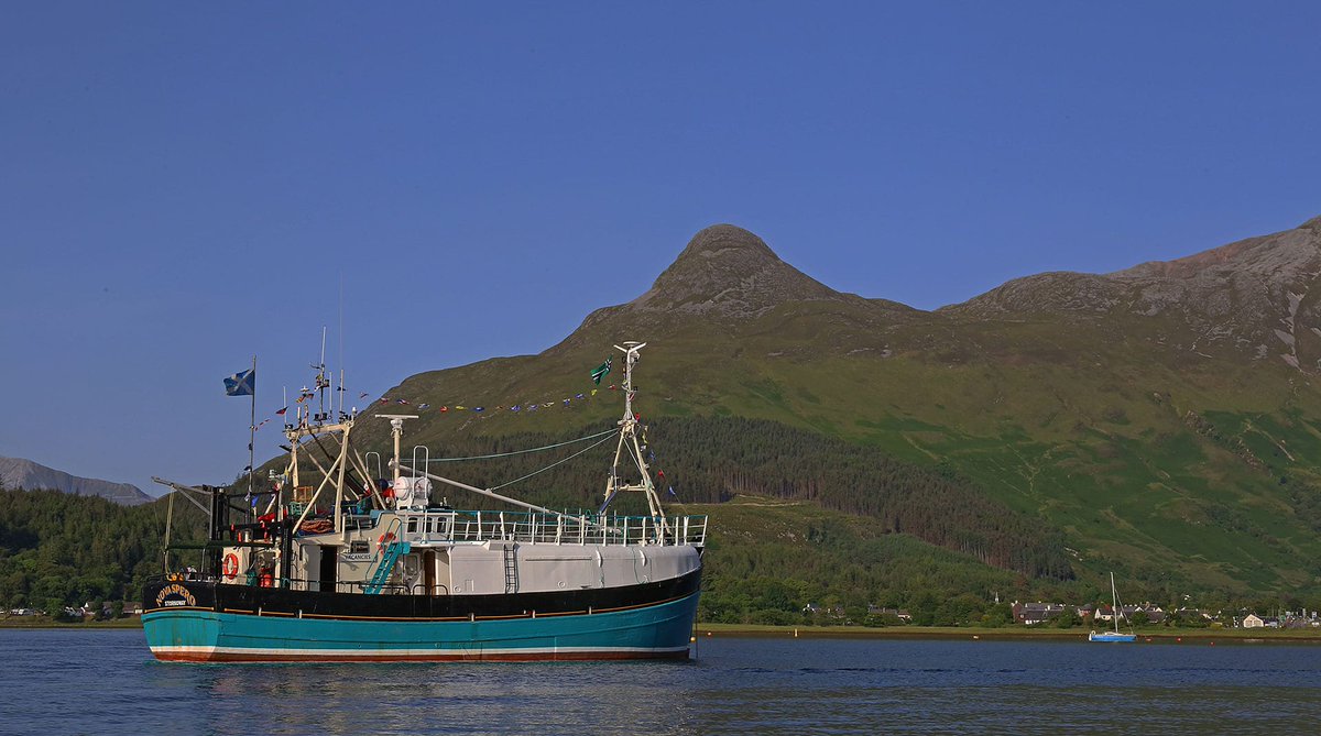 Explore Scotland’s dramatic coastline with an unforgettable trawler cruise adventure onboard our wooden hulled trawler Nova Spero. 

We set sail this Spring!

Full schedule: skarvlines.com/scottish-and-h…

#scottishcruise #skarvlines #adventureholiday