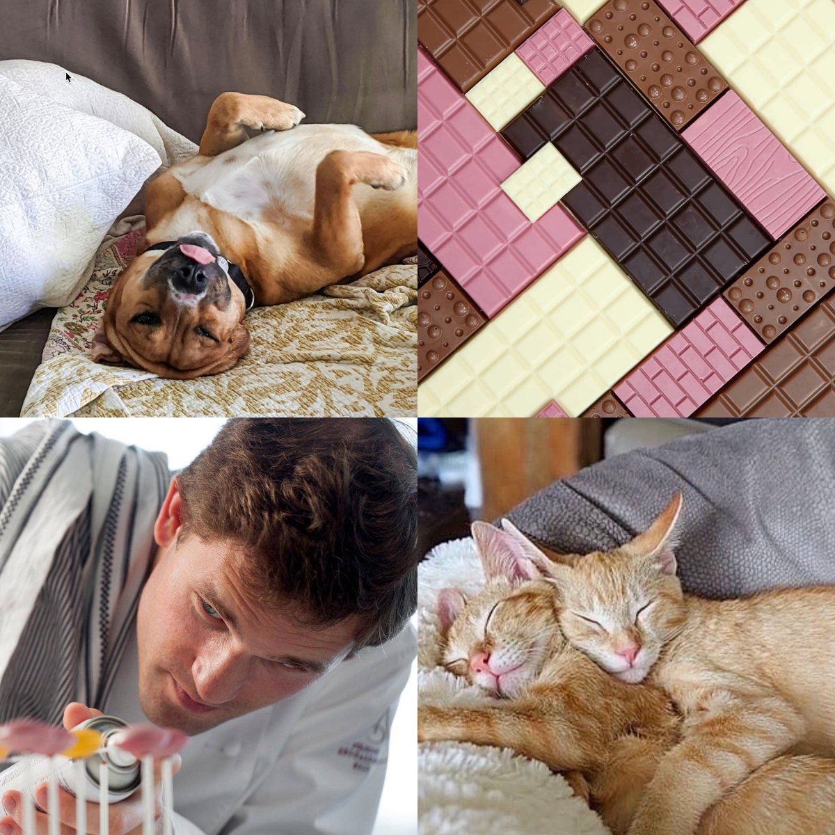 Vin Chicago (@vin_chicago) on Twitter photo Join Vin Chicago and <a href="/PAWSChicago/">PAWSChicago</a> on March 25 for an online chocolate and wine session with world renowned Chef Martin Diez of <a href="/BarryCallebaut/">Barry Callebaut Group</a>!
- $10 donation
- 100% to PAWS Chicago
- Receive a sampling of world class chocolate and access to Zoom
bit.ly/2OYHMC0 Join Vin Chicago and <a href="/PAWSChicago/">PAWSChicago</a> on March 25 for an online chocolate and wine session with world renowned Chef Martin Diez of <a href="/BarryCallebaut/">Barry Callebaut Group</a>!
- $10 donation
- 100% to PAWS Chicago
- Receive a sampling of world class chocolate and access to Zoom
bit.ly/2OYHMC0
