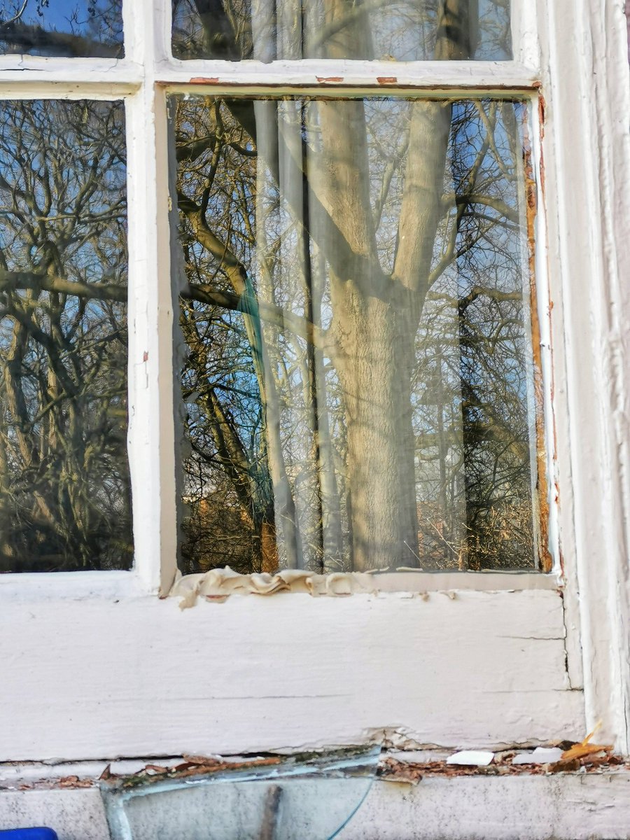 CraftingJones's tweet photo. So I'm doing a different type of #crafting today - #fixing a #broken #window! 🏡

Best of all, my #clumsiness was kept at bay, &amp; I managed to not cut myself! 🎉

#Glass #Windows #PowerTools #Drill #Tools #Putty #CraftingInjury #DontRunWithScissors #Craft #Crafting #Fixed #DIY https://t.co/GLbWgcLuNt